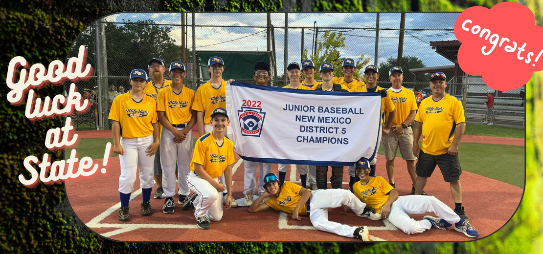 Junior Baseball District Champions!
